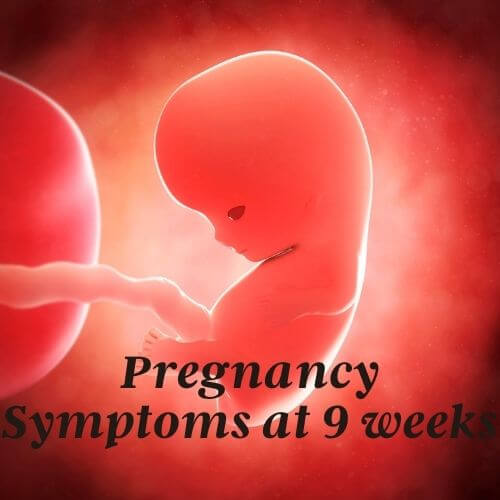 Your Ultimate Guide To Pregnancy Symptoms At 9 Weeks What To Expect Your Ultimate Guide To Pregnancy Symptoms At 9 Weeks What To Expect