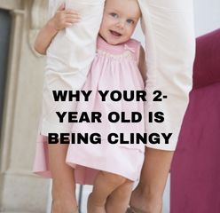 clingy 2 year old